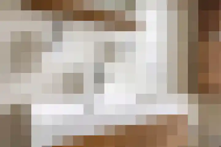 Beemdhof 9 Heteren thumbnail 39