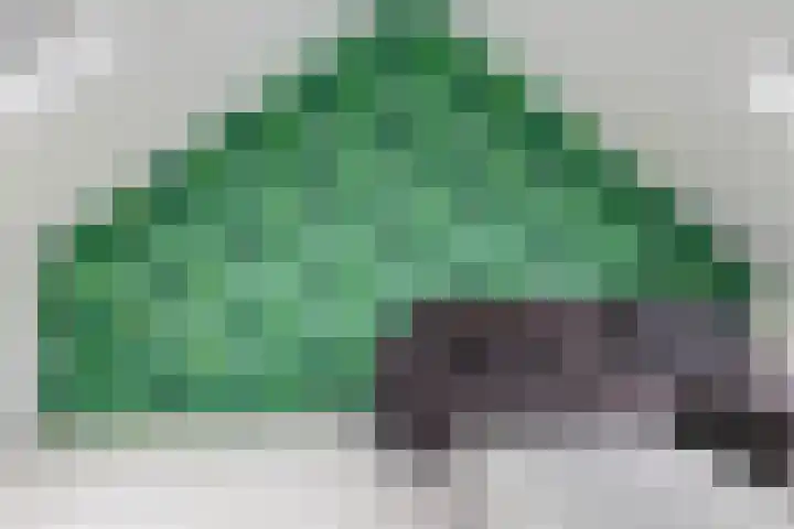 Beemdhof 9 Heteren thumbnail 46