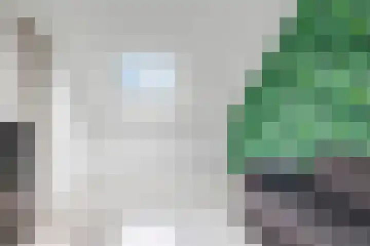 Beemdhof 9 Heteren thumbnail 48