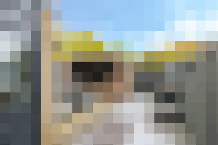 Beemdhof 9 Heteren thumbnail 55