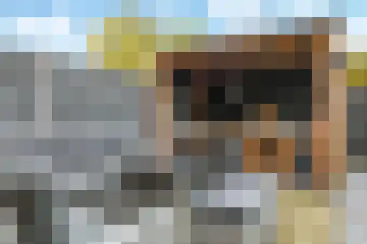 Beemdhof 9 Heteren thumbnail 56