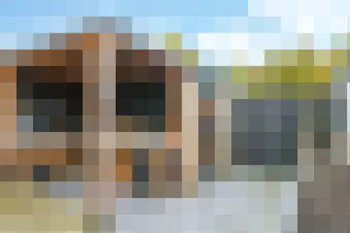 Beemdhof 9 Heteren thumbnail 59