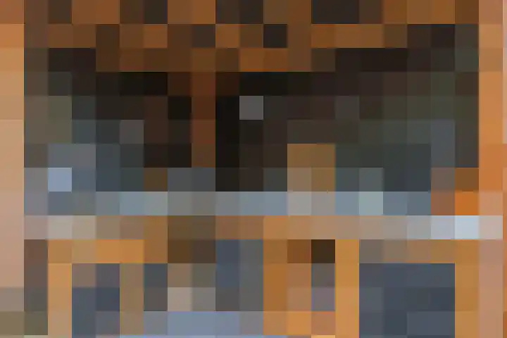 Beemdhof 9 Heteren thumbnail 60