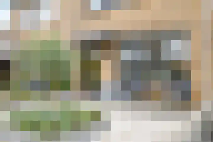 Beemdhof 9 Heteren thumbnail 68