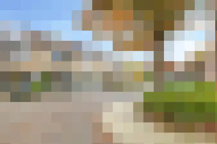 Beemdhof 9 Heteren thumbnail 75