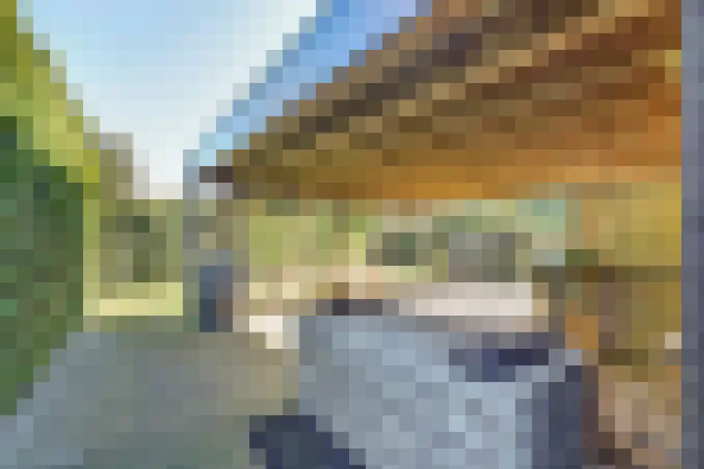 Beemdkant 1 Lieshout thumbnail 104