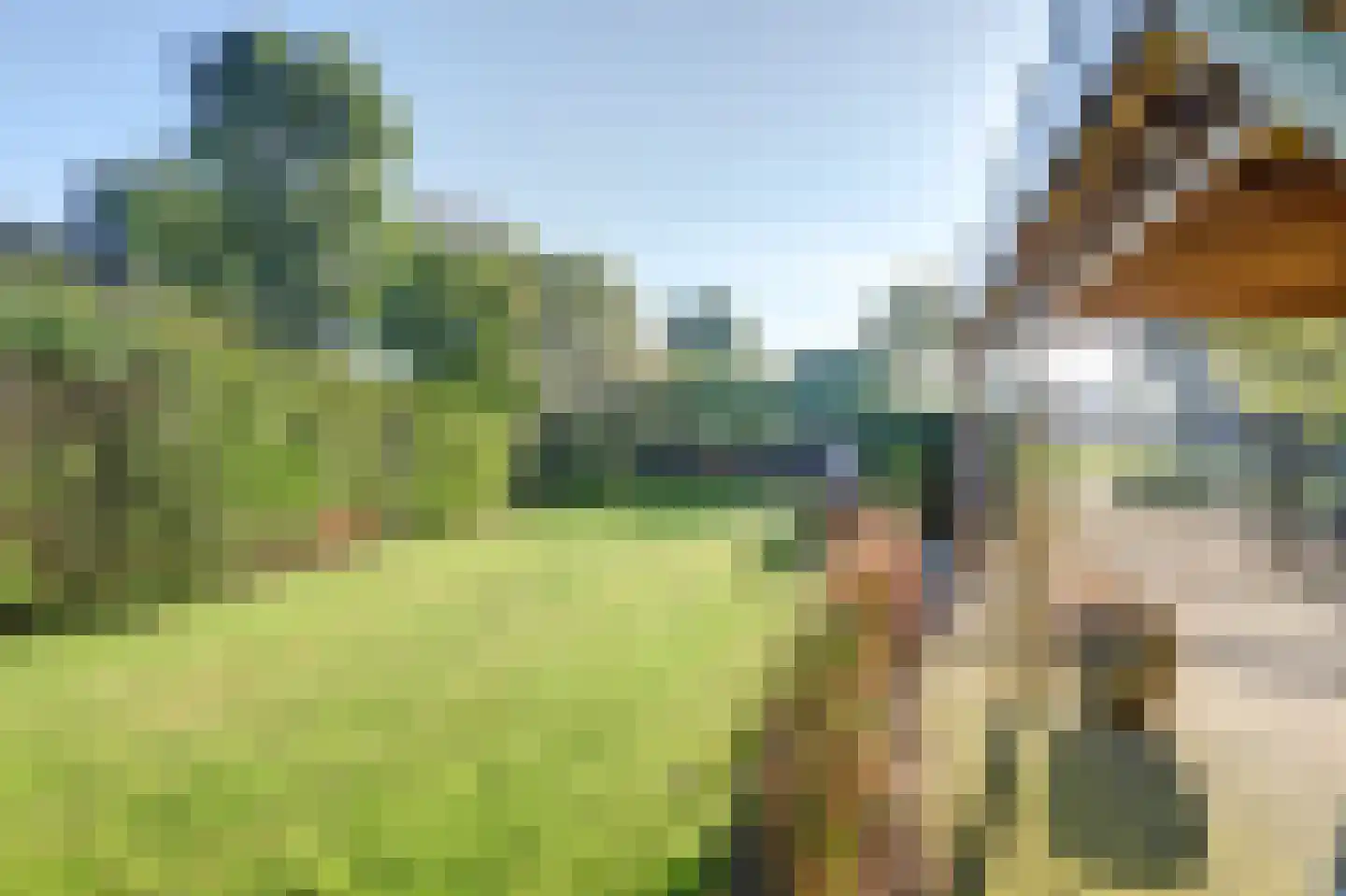 Beemdkant 1 Lieshout thumbnail 105