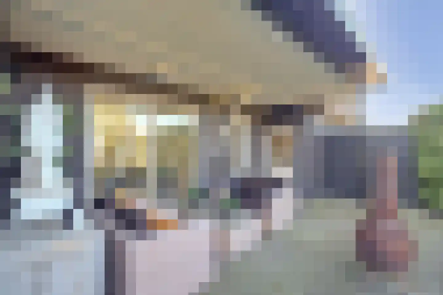 Beemdkant 1 Lieshout thumbnail 107