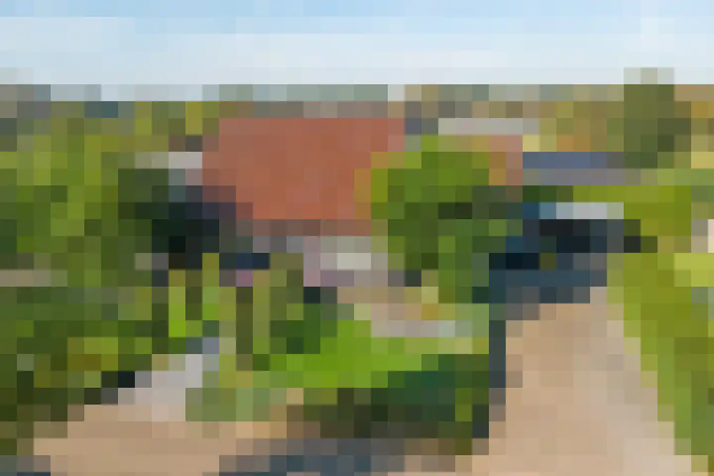 Beemdkant 1 Lieshout thumbnail 110