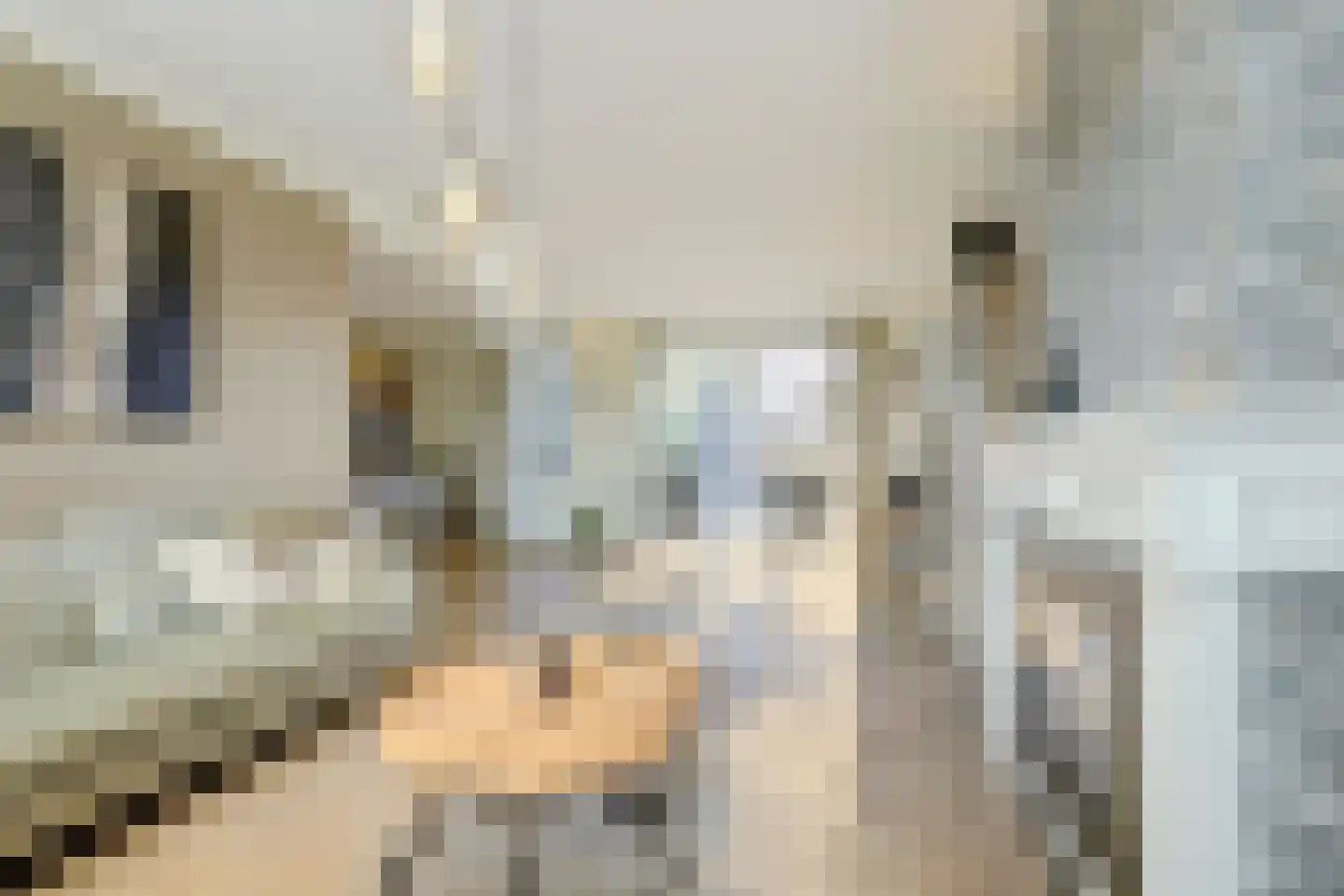 Beemdkant 1 Lieshout thumbnail 14
