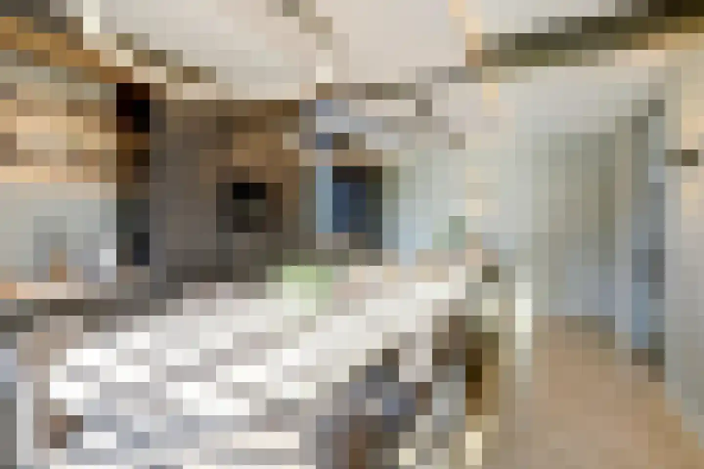 Beemdkant 1 Lieshout thumbnail 20
