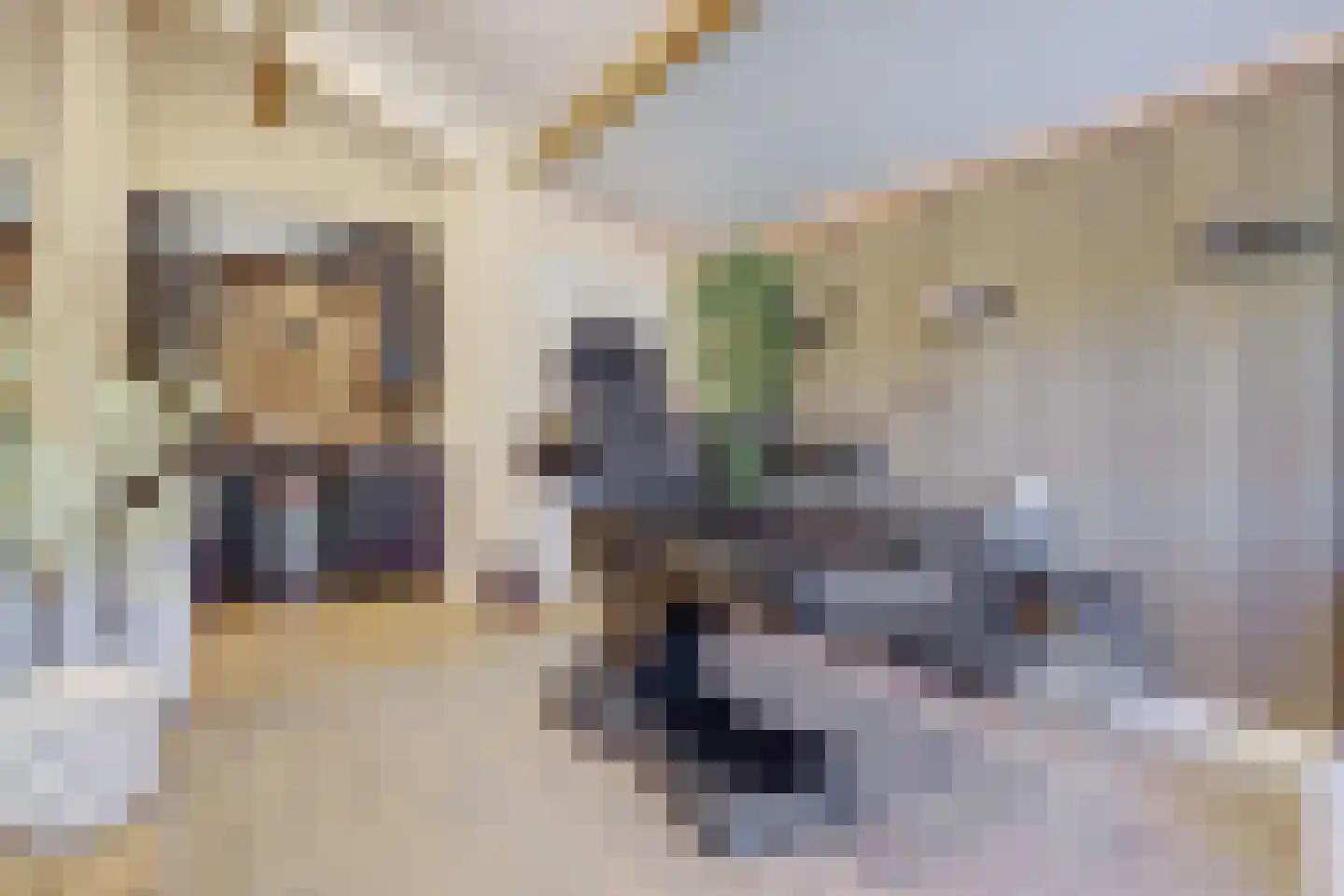 Beemdkant 1 Lieshout thumbnail 39