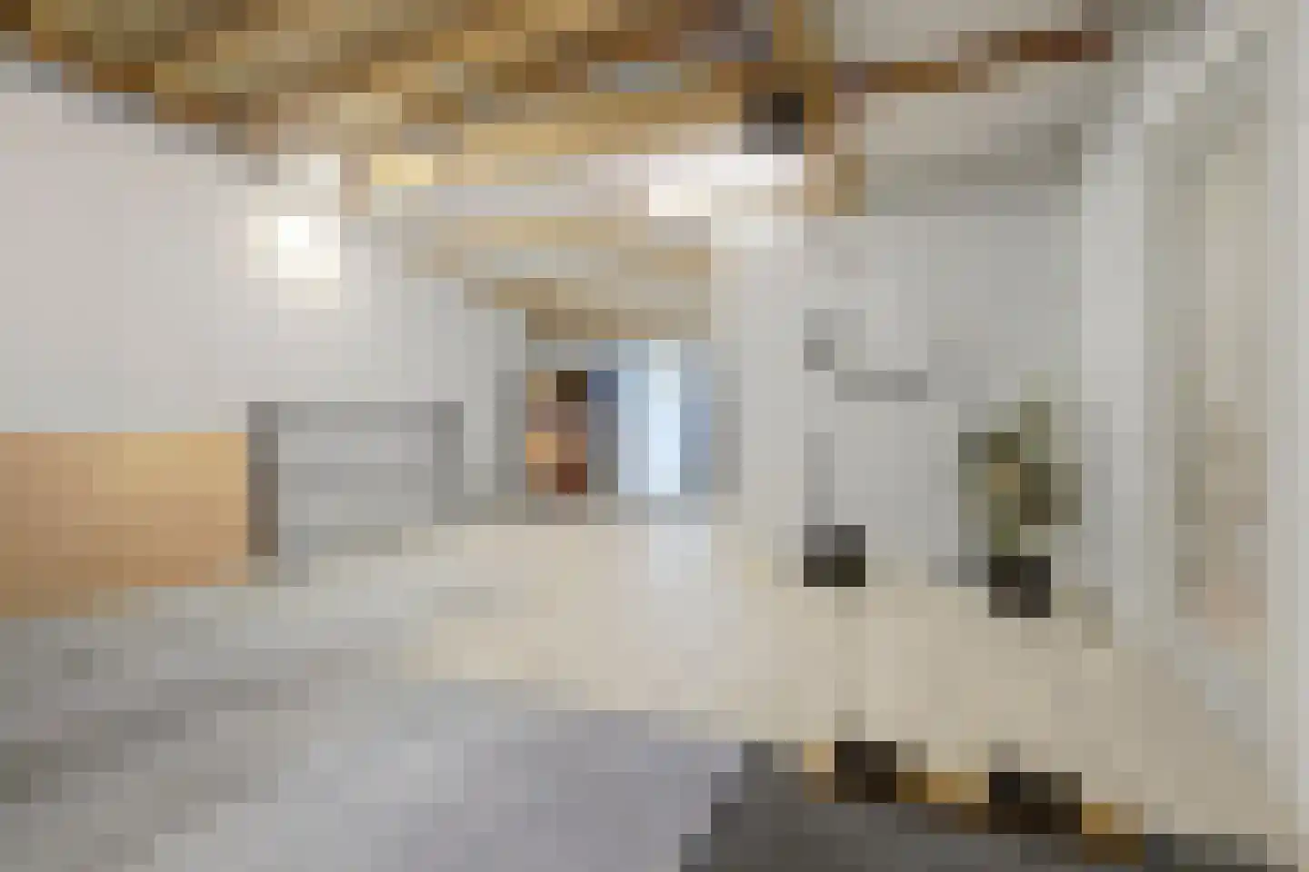Beemdkant 1 Lieshout thumbnail 72