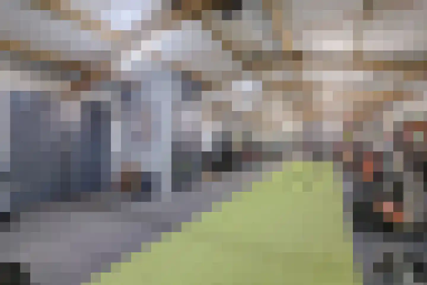 Beemdkant 1 Lieshout thumbnail 80