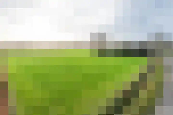 Beemdkant 4 Lieshout thumbnail 10