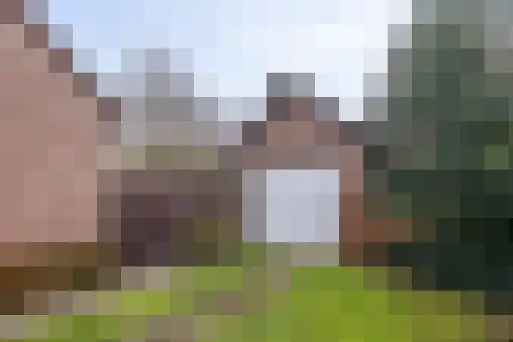 Beemdkant 4 Lieshout thumbnail 11