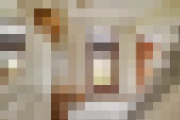 Beemdkant 4 Lieshout thumbnail 13