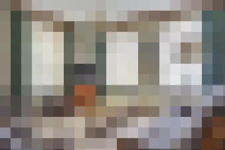 Beemdkant 4 Lieshout thumbnail 14