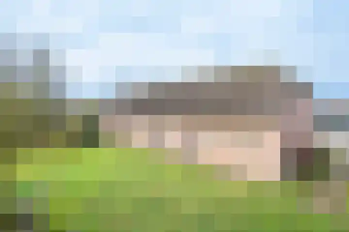 Beemdkant 4 Lieshout thumbnail 35
