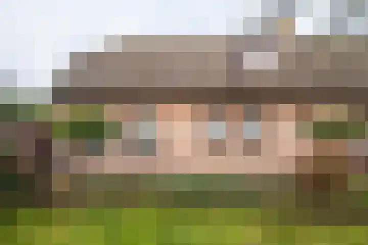Beemdkant 4 Lieshout thumbnail 38