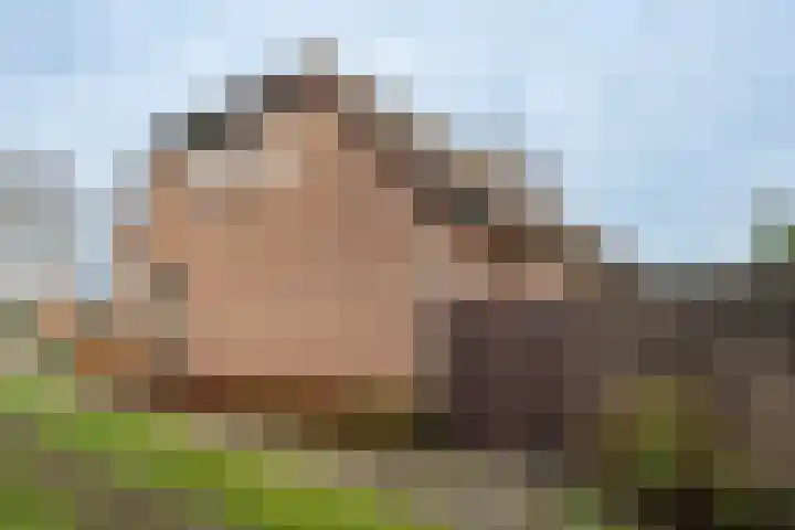 Beemdkant 4 Lieshout thumbnail 39