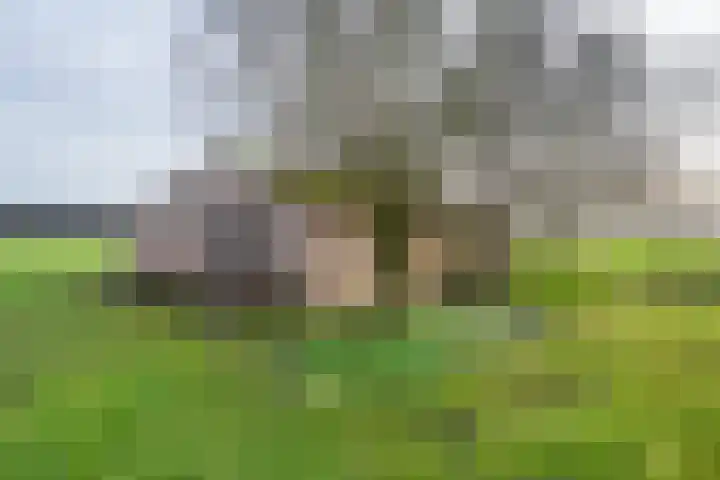 Beemdkant 4 Lieshout thumbnail 40