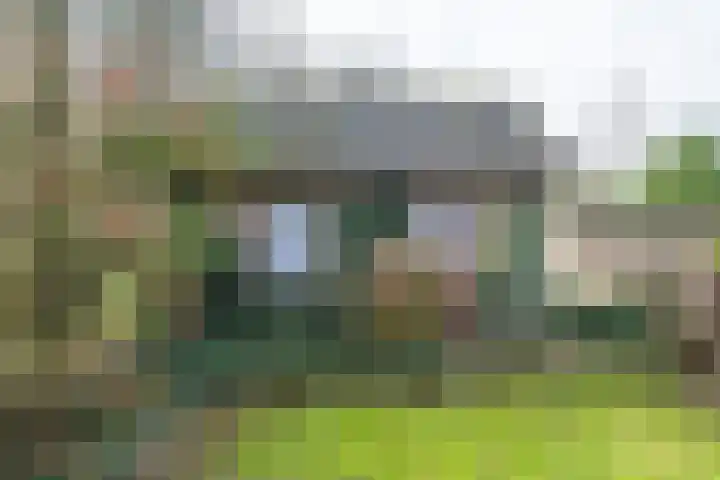 Beemdkant 4 Lieshout thumbnail 42