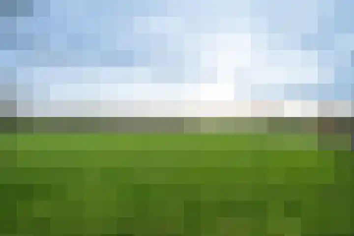 Beemdkant 4 Lieshout thumbnail 43