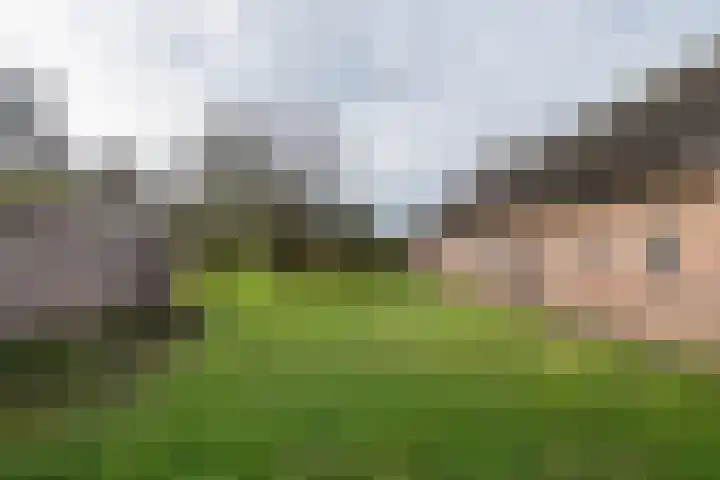 Beemdkant 4 Lieshout thumbnail 5