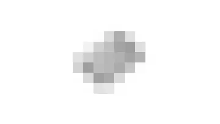 Beemdkant 4 Lieshout thumbnail 59