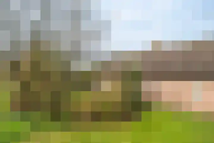 Beemdkant 4 Lieshout thumbnail 6