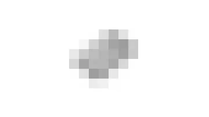 Beemdkant 4 Lieshout thumbnail 60