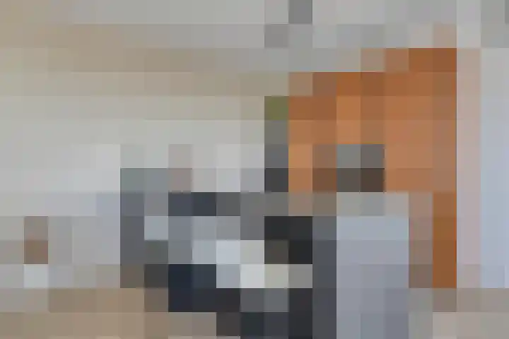 Beemdkroon 160 Bergen op Zoom thumbnail 22