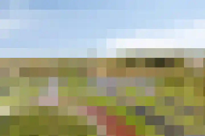 Beemdkroon 160 Bergen op Zoom thumbnail 29