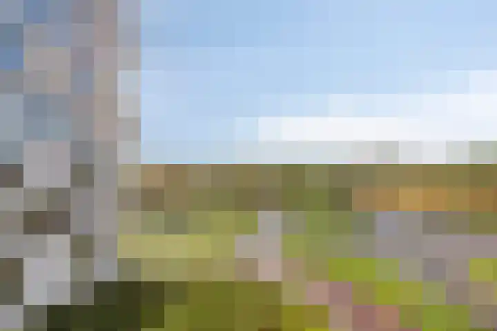 Beemdkroon 160 Bergen op Zoom thumbnail 30