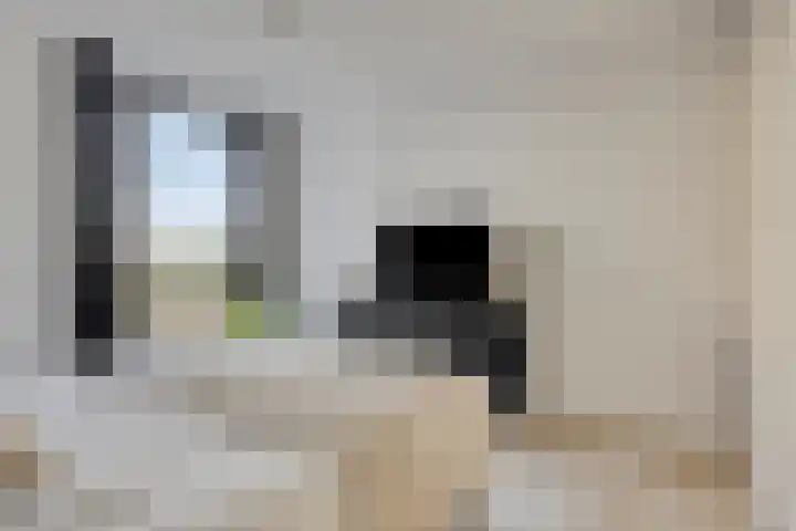 Beemdkroon 160 Bergen op Zoom thumbnail 34