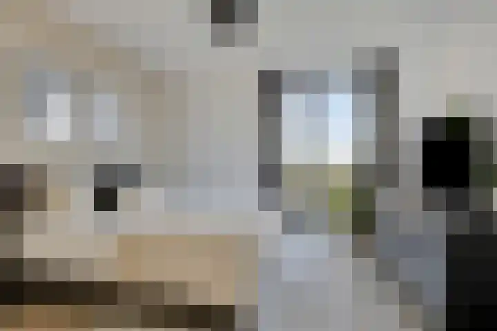 Beemdkroon 160 Bergen op Zoom thumbnail 4