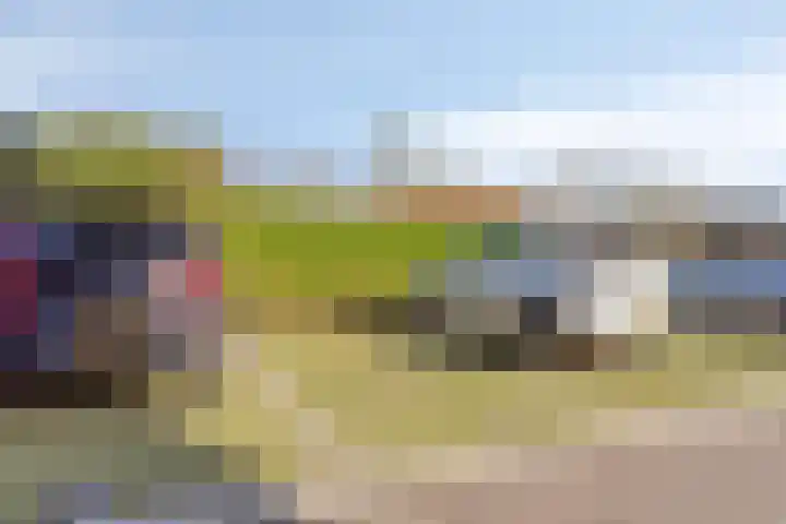 Beemdkroon 160 Bergen op Zoom thumbnail 44