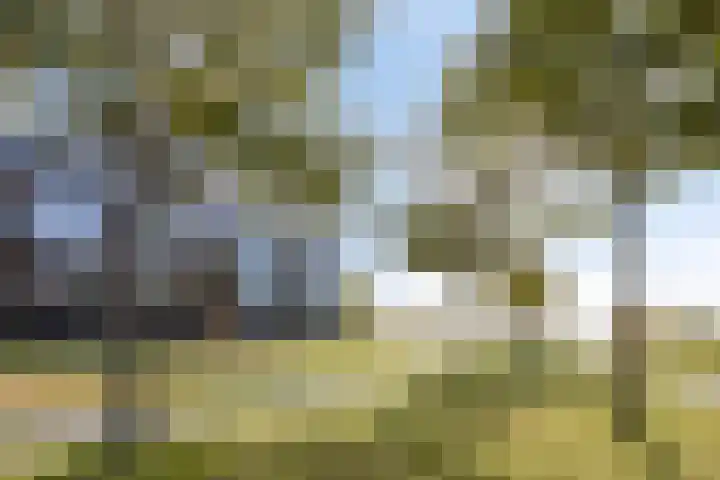Beemdkroon 160 Bergen op Zoom thumbnail 45