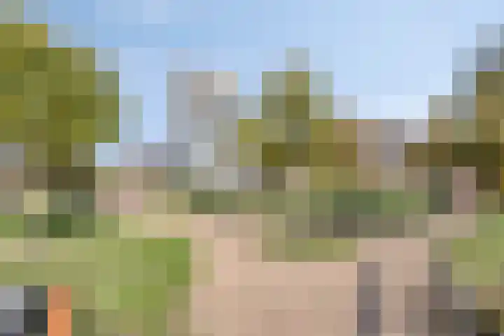 Beemdkroon 160 Bergen op Zoom thumbnail 46
