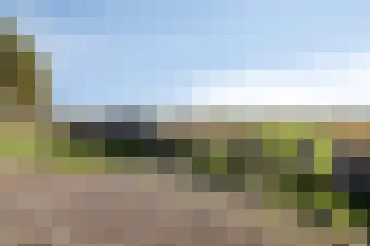 Beemdkroon 160 Bergen op Zoom thumbnail 47