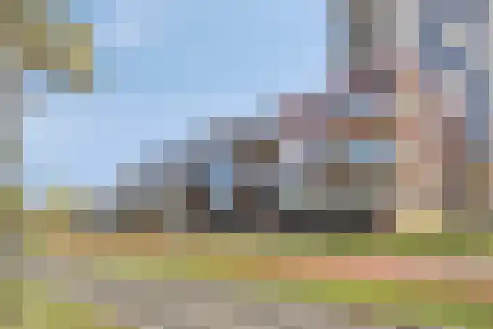 Beemdkroon 160 Bergen op Zoom thumbnail 5