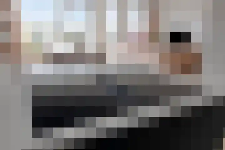 Beemdkroon 164 Bergen op Zoom thumbnail 13