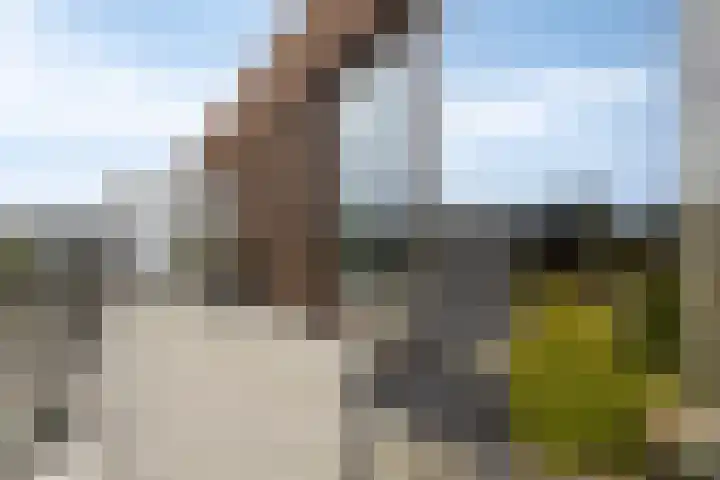 Beemdkroon 164 Bergen op Zoom thumbnail 16