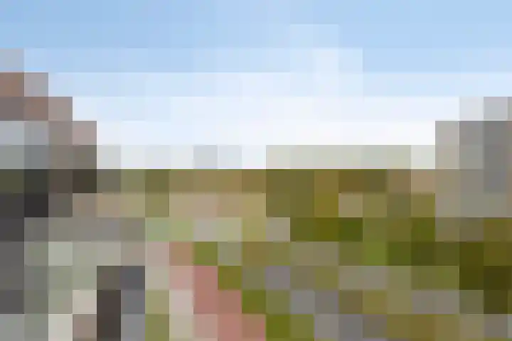 Beemdkroon 164 Bergen op Zoom thumbnail 18