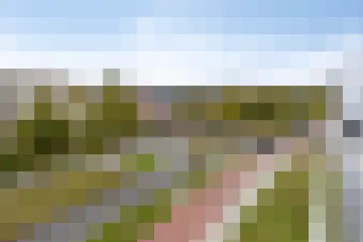 Beemdkroon 164 Bergen op Zoom thumbnail 34