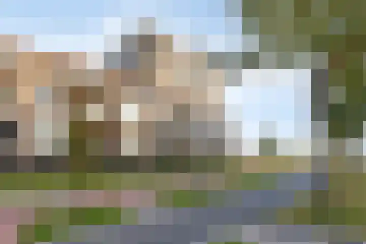 Beemdkroon 164 Bergen op Zoom thumbnail 39