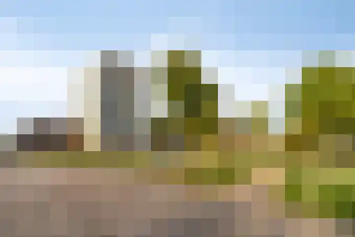 Beemdkroon 164 Bergen op Zoom thumbnail 42