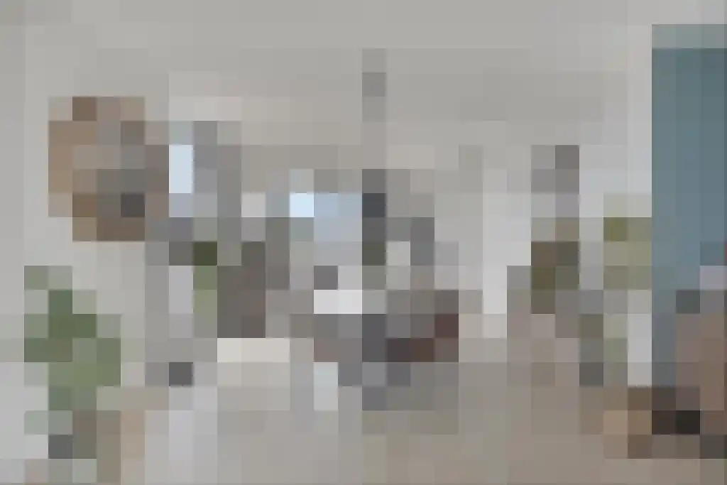 Beemdkroon 208 Bergen op Zoom thumbnail 18