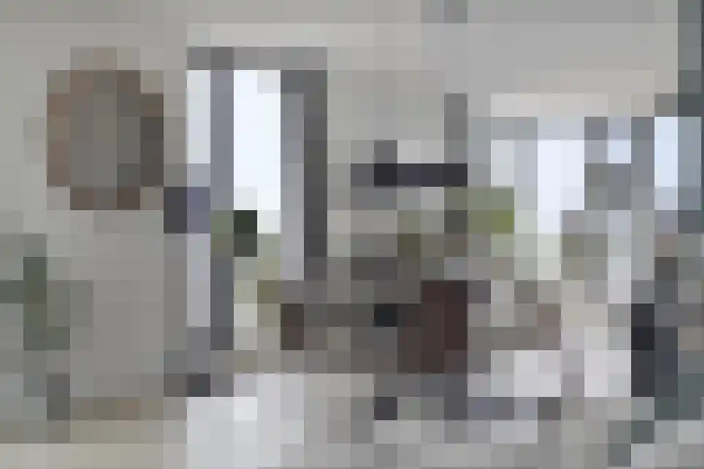 Beemdkroon 208 Bergen op Zoom thumbnail 19